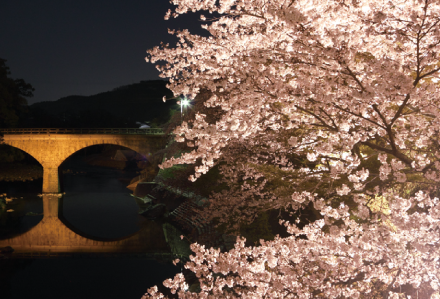 桜と石橋まつり